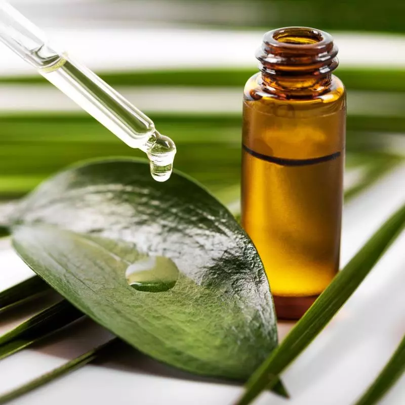 Apa Itu Tea Tree Oil?