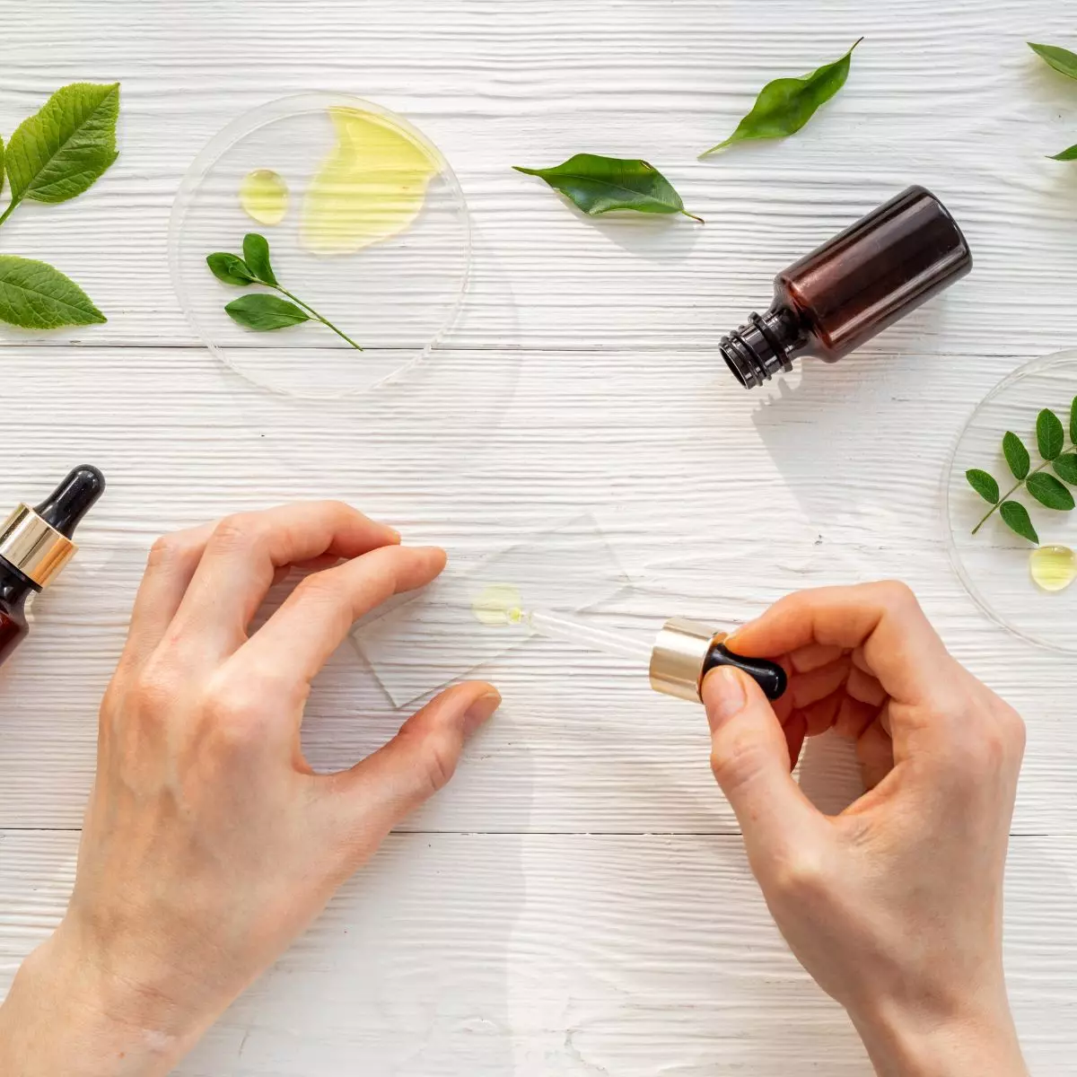 Cara Menggunakan Tea Tree Oil dengan Aman dalam Skincare