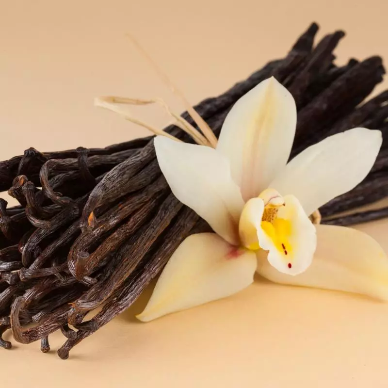 5. Aroma Gourmand (Manis & Lezat)