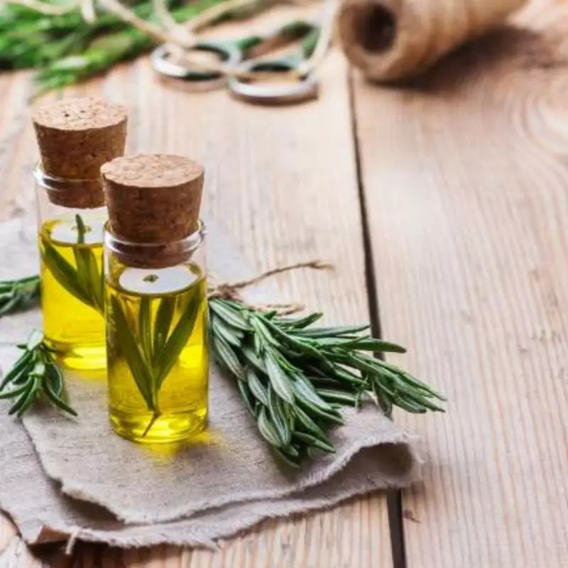 Apa Itu Rosemary Oil?