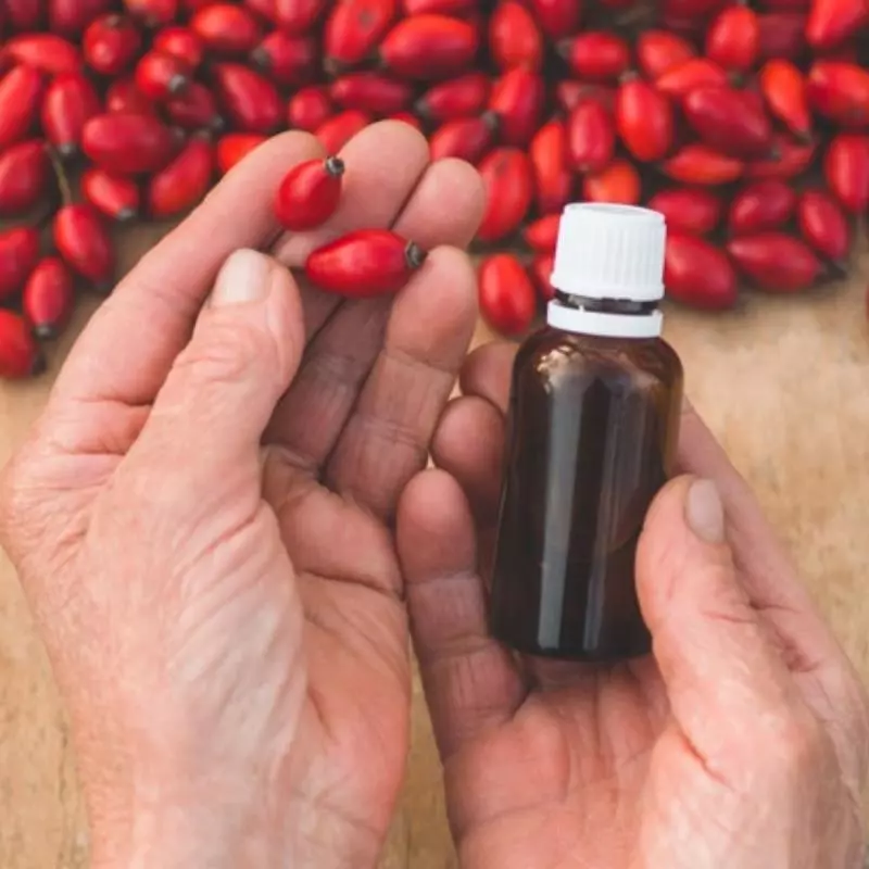 Tips Memilih Rosehip Oil Berkualitas