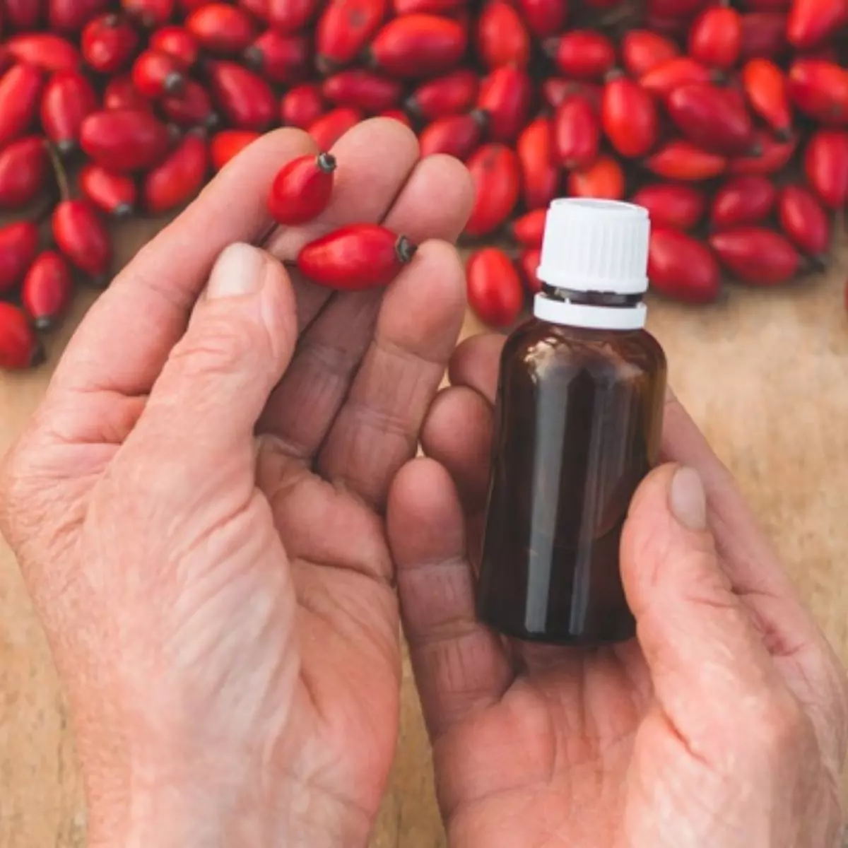 Tips Memilih Rosehip Oil Berkualitas