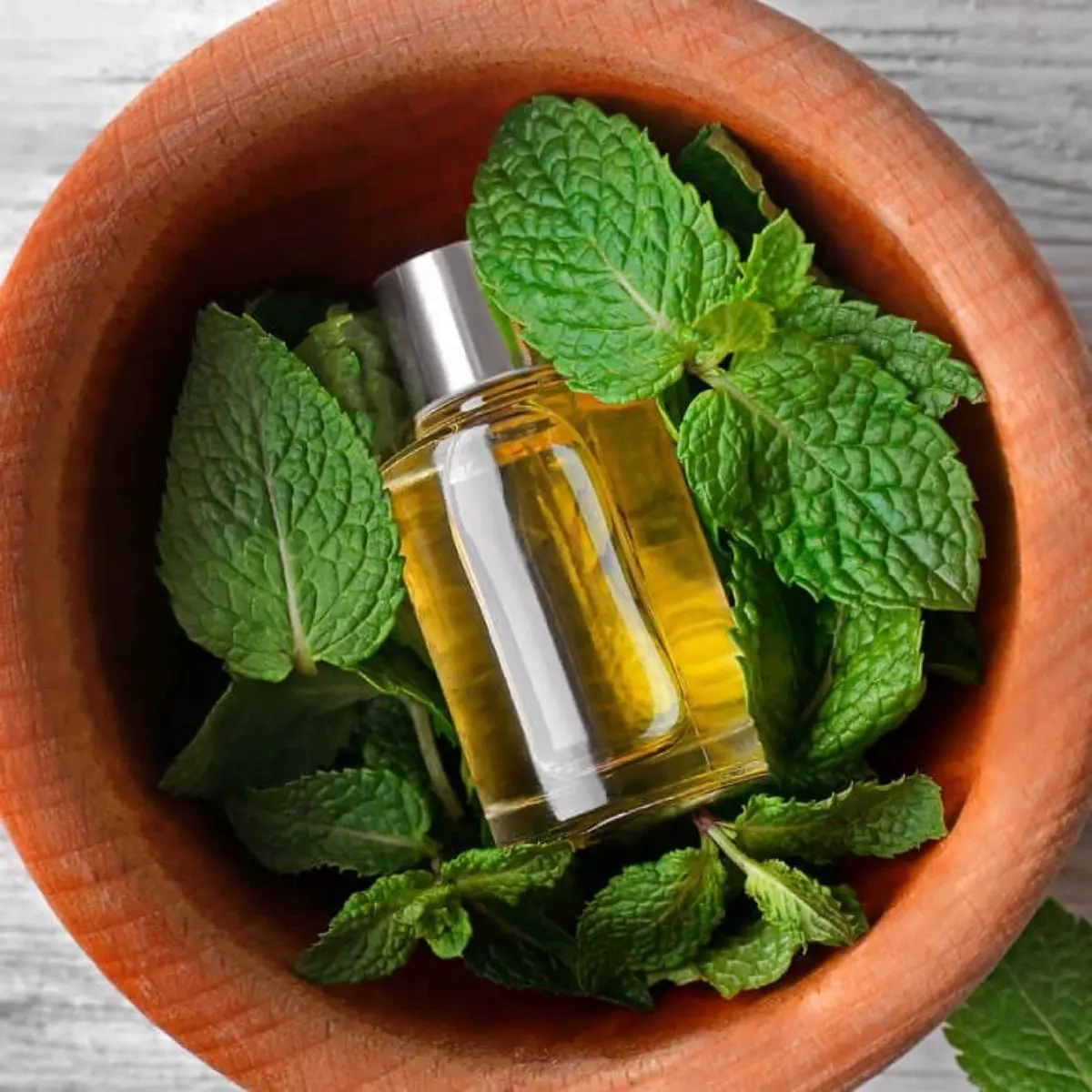 Kesalahan Umum dalam Menggunakan Peppermint Oil