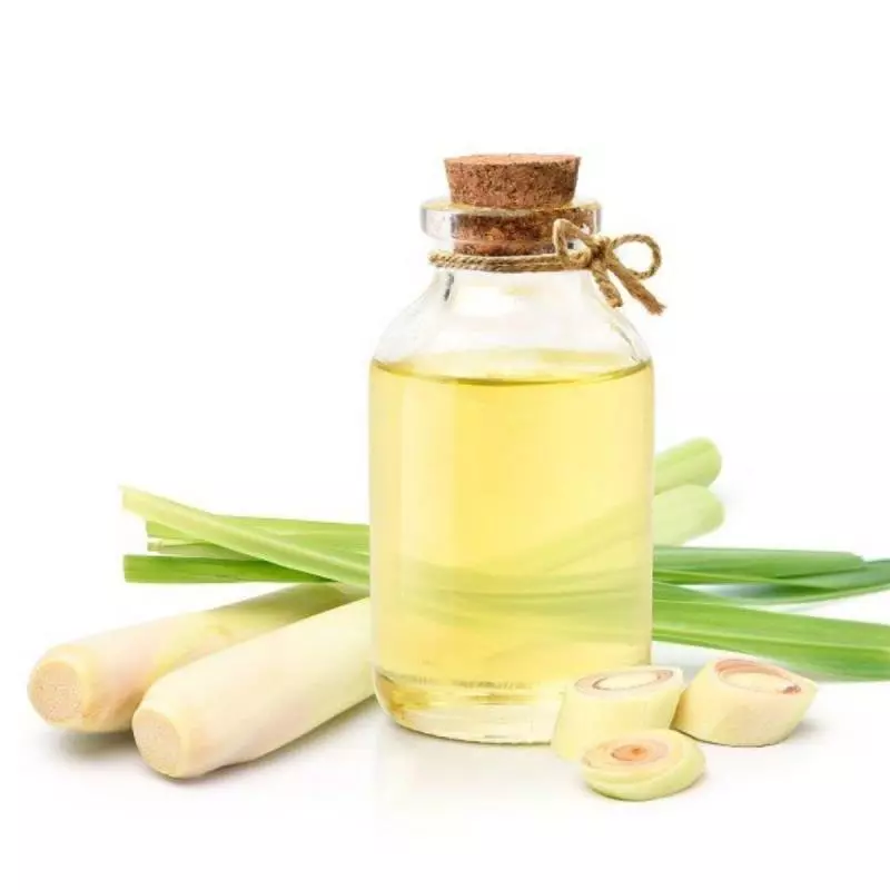 Apa Itu Essential Oil Minyak Sereh?