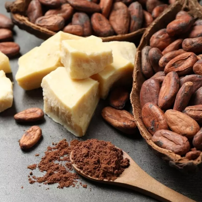 Apa Itu Cocoa Butter?