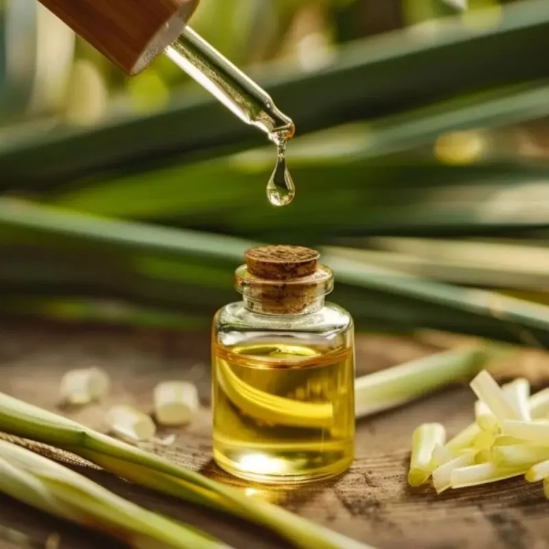 Manfaat Lemongrass Oil untuk Kebutuhan Sehari-hari
