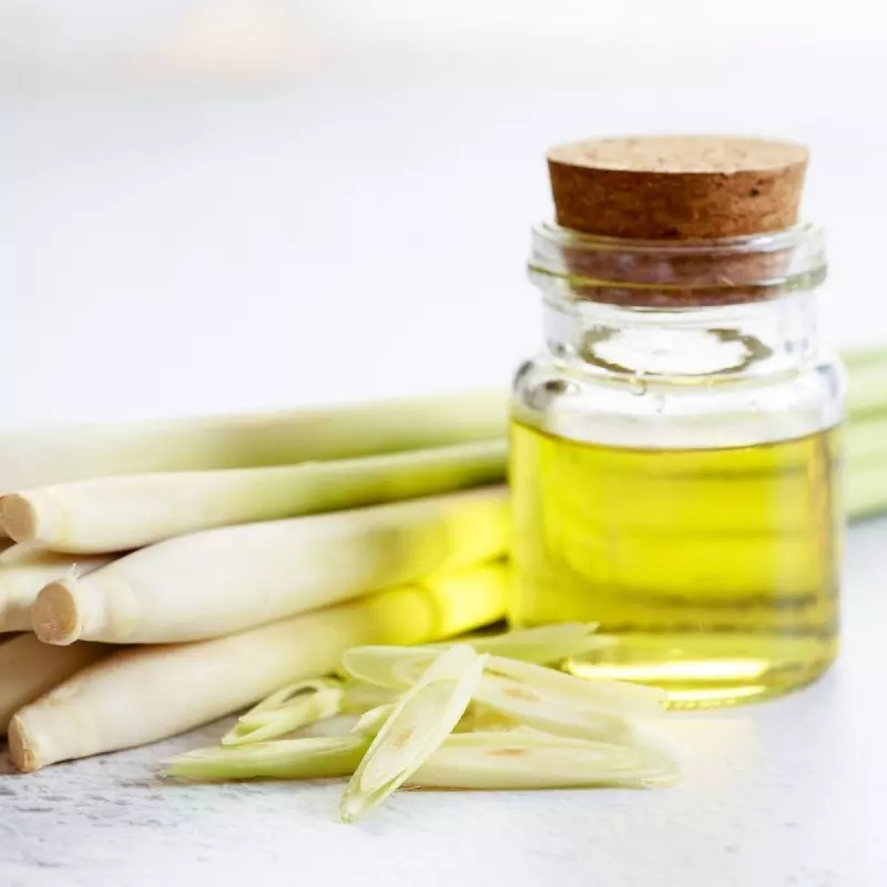 Hal yang Perlu Diperhatikan Sebelum Menggunakan Lemongrass Oil