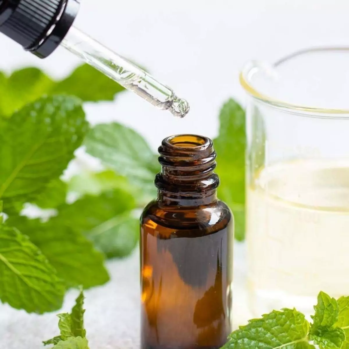 Berapa Tetes Peppermint Oil yang Sebaiknya Digunakan?